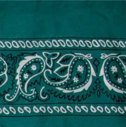 Wyoming Traders® Bandana Print Silk Wild Rag -Leather Wallet Shop Bandana Forest